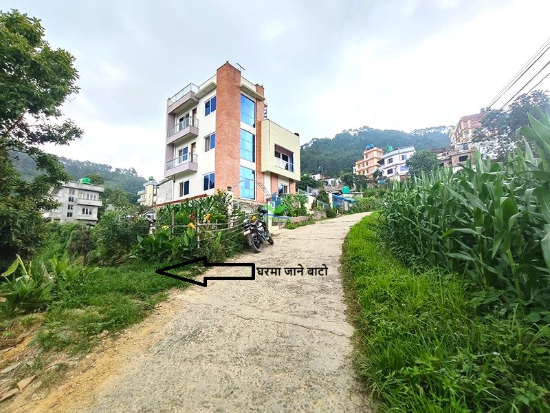 IMG20260616141705_copy.jpg