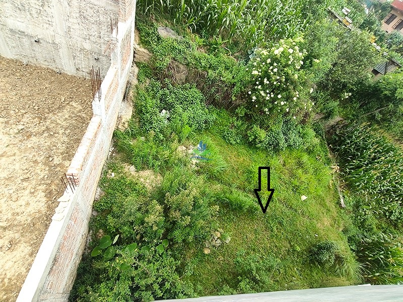 IMG20260626074343_copy.jpg