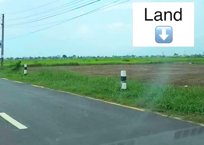 chitwan_land.jpg