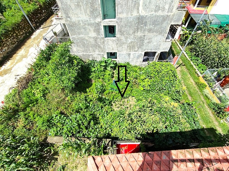 IMG20260710103007_copy.jpg