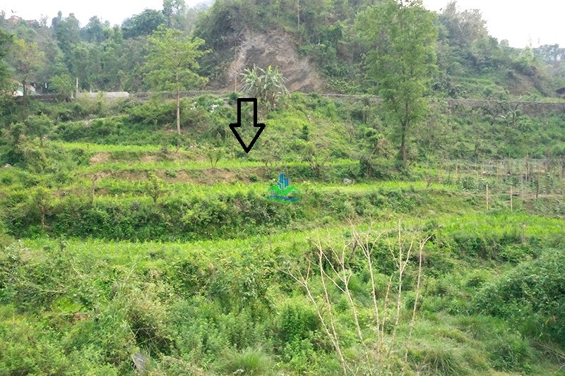 DJI_0137.JPG_copy.jpg