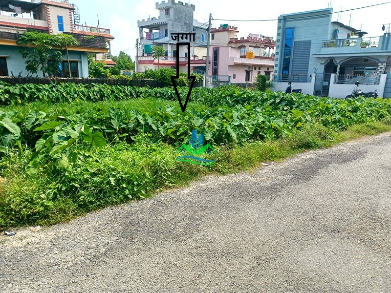 Land For Sale at Birtnagar, Morang. 