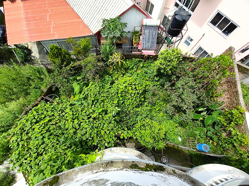IMG20260727135337_copy.jpg