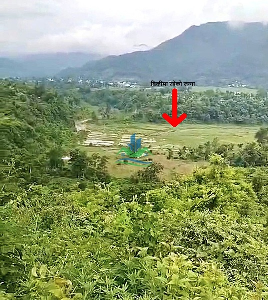 Land for Sale at Vyas Municipality, Pokhrel Phant, Tanahun.