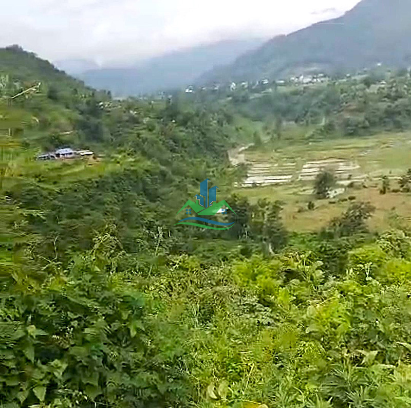 TANAHUN_LAND_2_copy.jpg