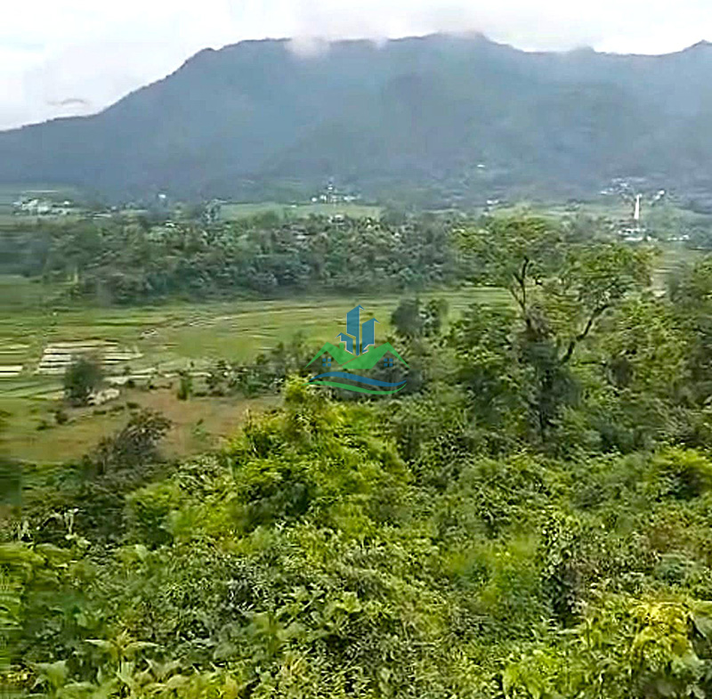 TANAHUN_LAND_copy.jpg