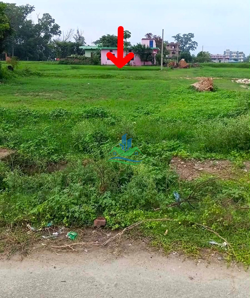 dhangadi_dilasaini_land1_copy.jpg