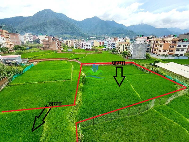 IMG20260806124102_copy.jpg