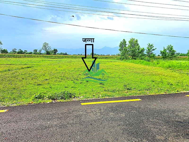 meghauli_1_copy.jpg