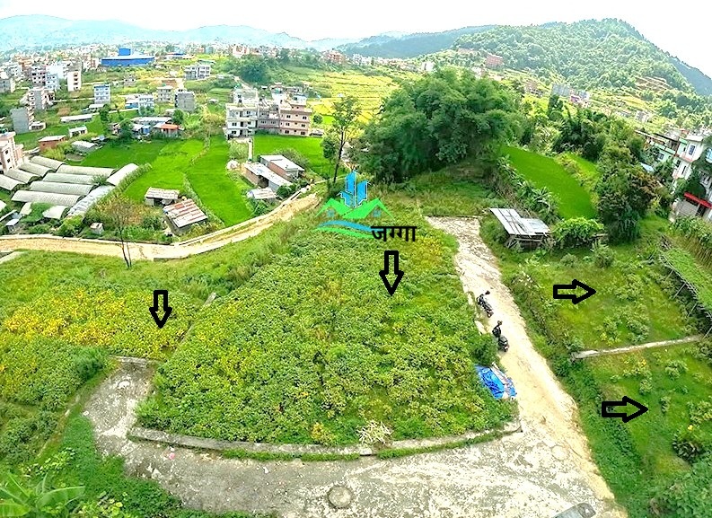 IMG-20260821-WA0008_copy.jpg