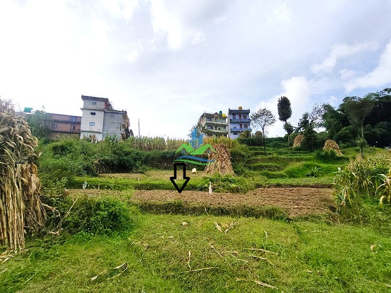 IMG20260907101158_copy.jpg