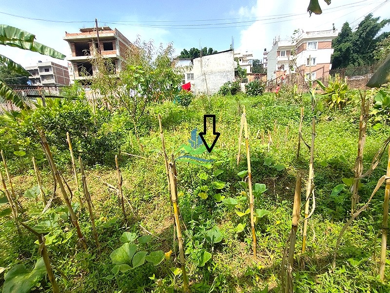IMG20260917133727_copy.jpg