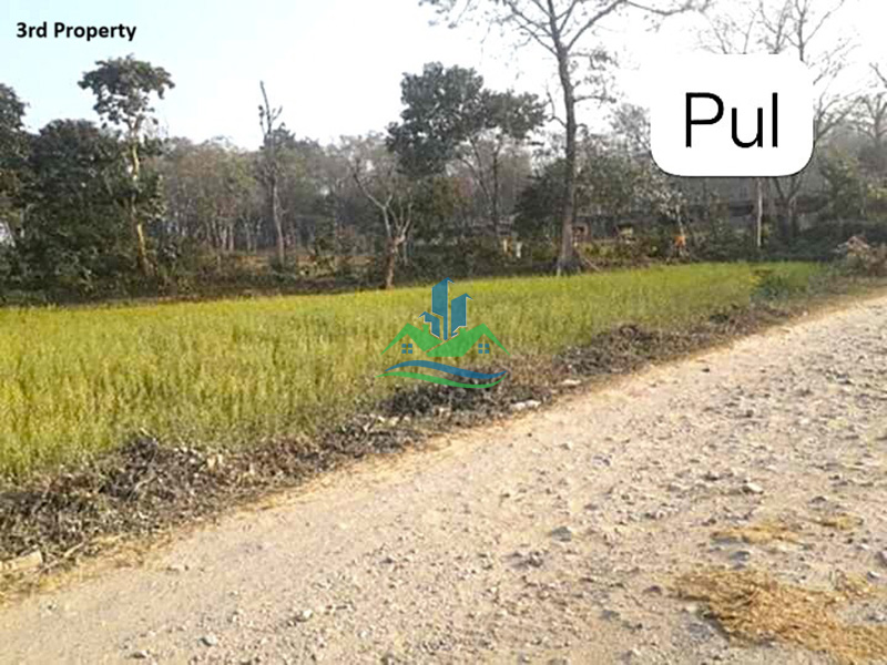 chitwan_property11_copy.jpg
