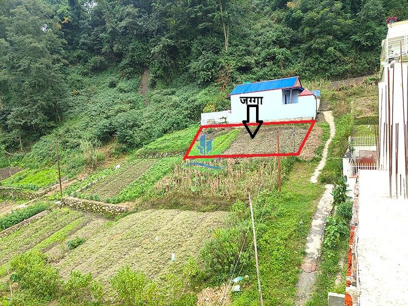 IMG20261005132810_copy.jpg