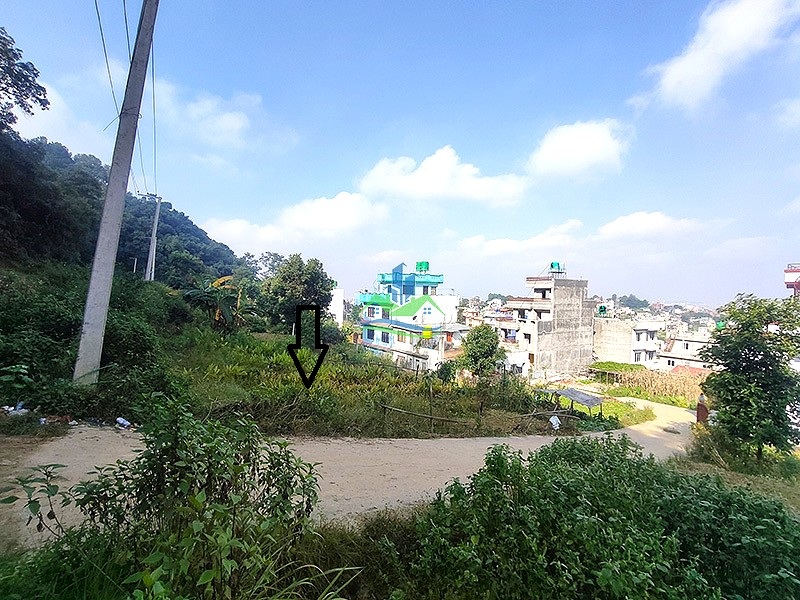 IMG20261019085211_copy.jpg