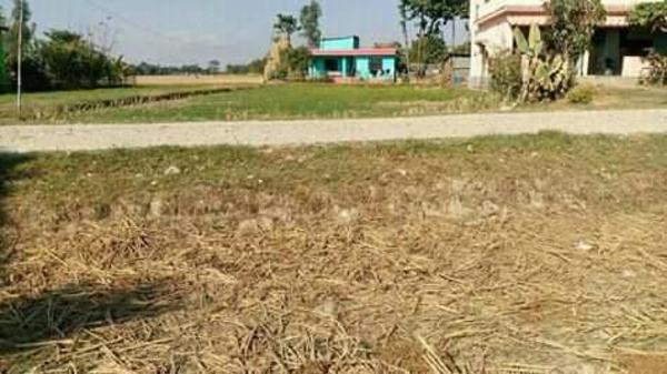 Land on Sale at Juro Pani -5, Galduwa,Jhapa.