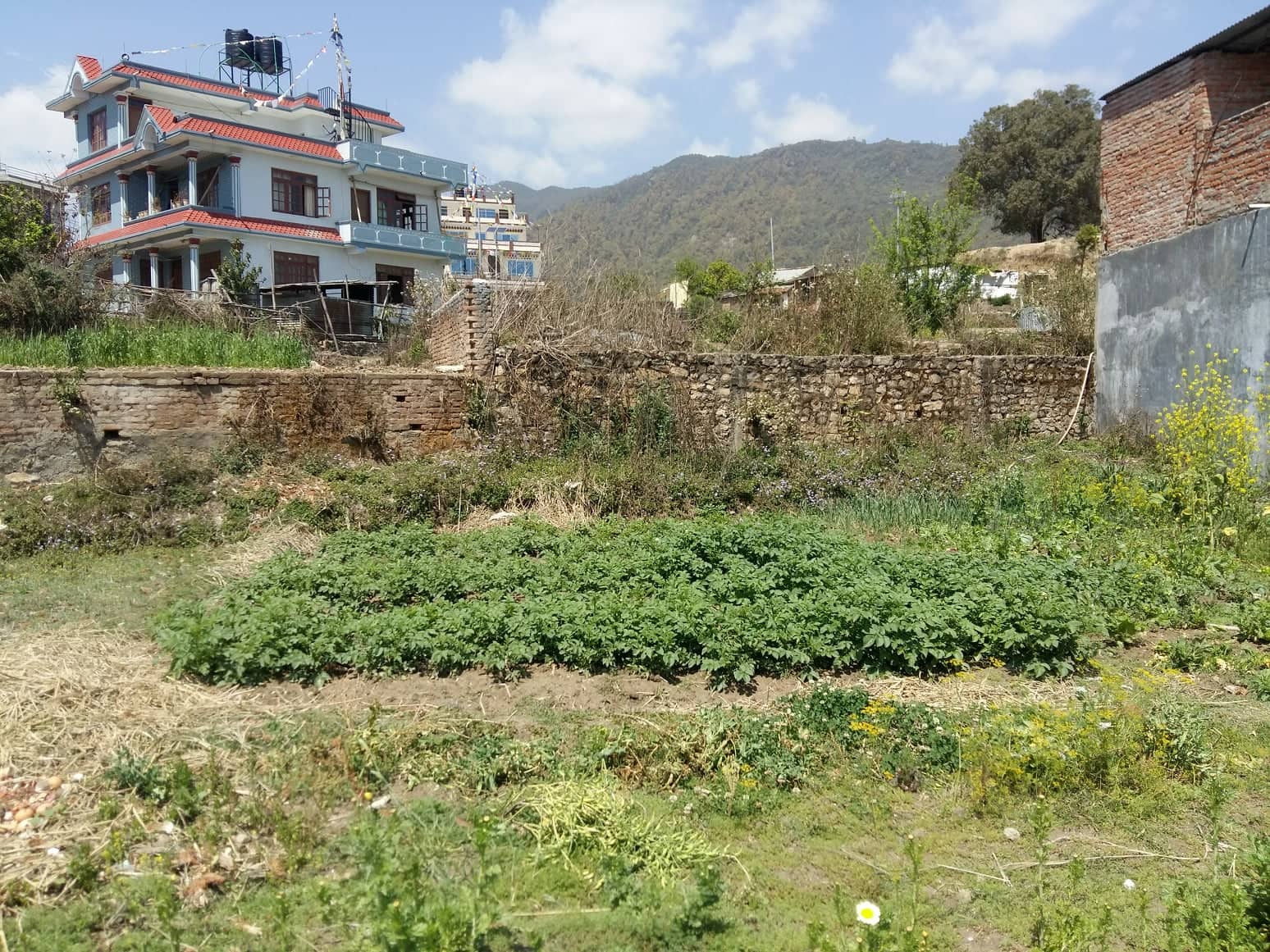 Eproperty Nepal Land for Sale at Nayapati, Kathmandu