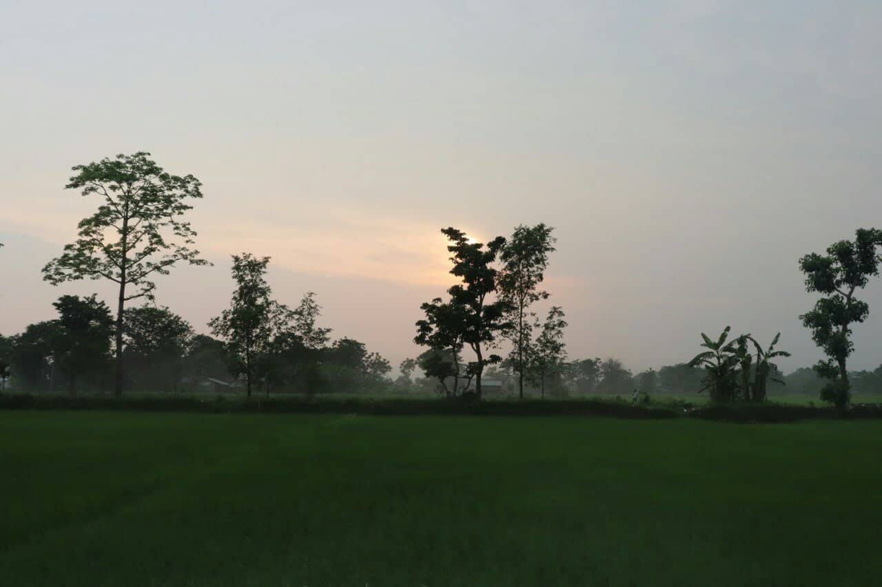 land_for_sale_at_Chitwan_(9).jpg
