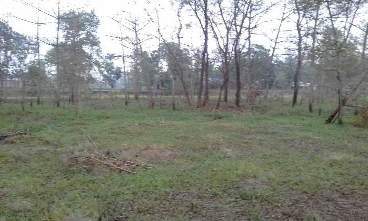 land_for_sale_at_Chitwan_(10).jpg