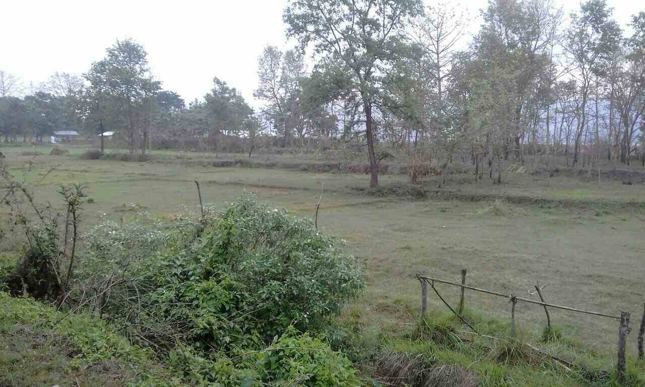 land_for_sale_at_Chitwan_(8).jpg