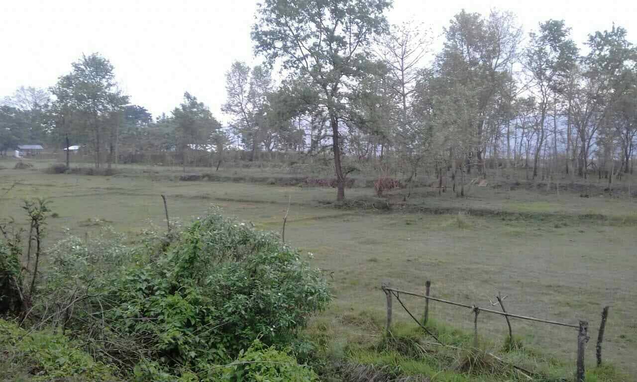 land_for_sale_at_Chitwan_(3).jpg