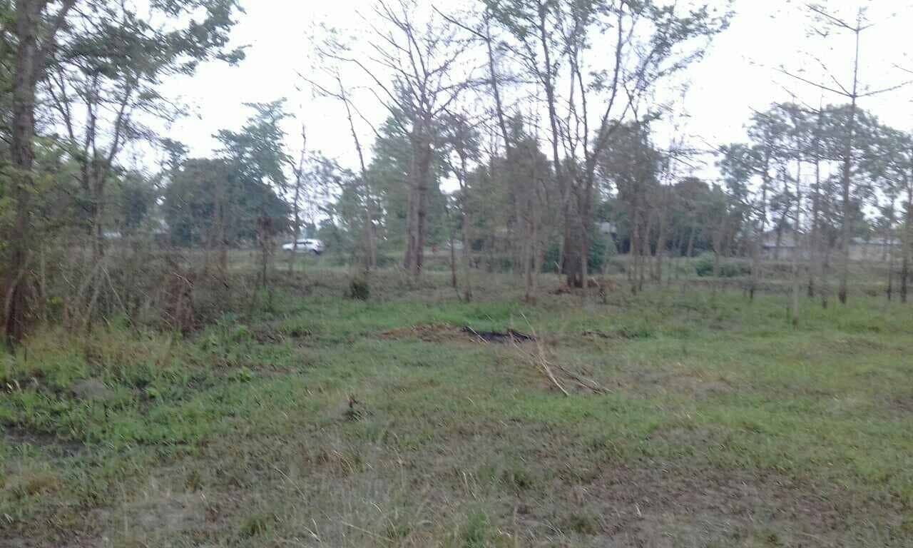 land_for_sale_at_Chitwan_(2).jpg