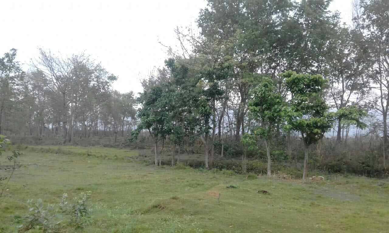 land_for_sale_at_Chitwan_(1).jpg