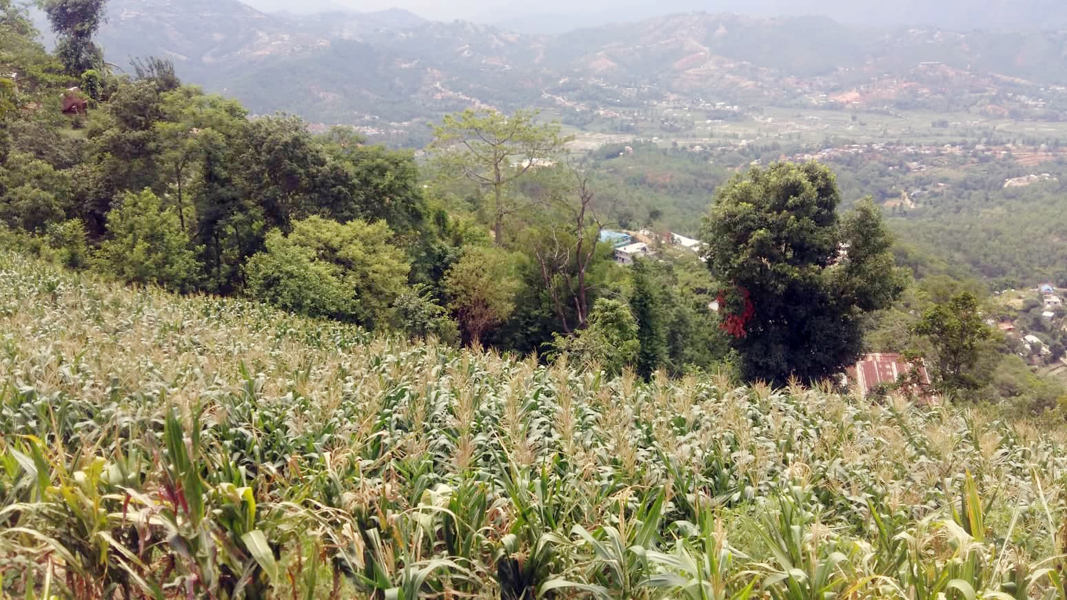 Eproperty Nepal Land for Sale at Dhulikhel, Kavrepalanchok