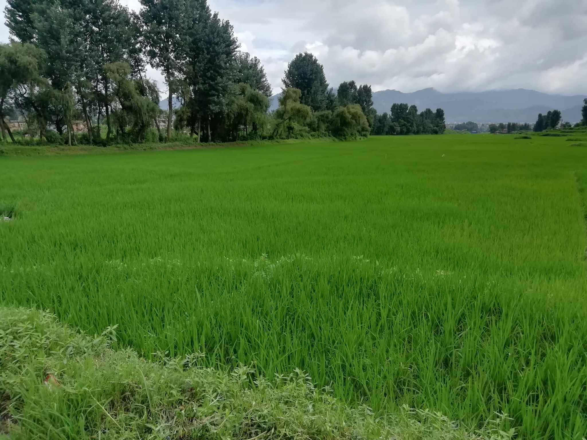 Eproperty Nepal | Land for Sale at Jhaukhel, Bhaktapur