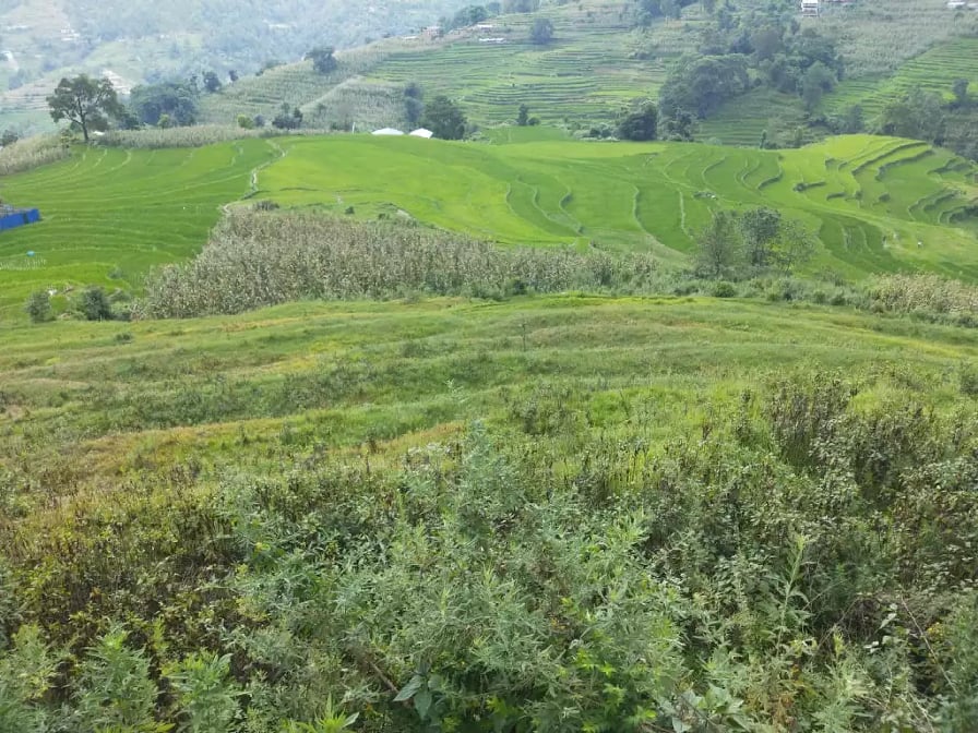 Eproperty Nepal Land For Sale At Nagarkot, Bhaktapur
