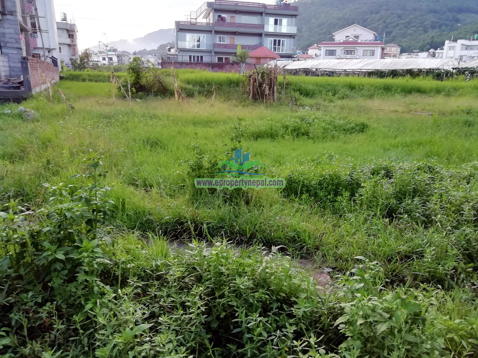 Eproperty Nepal Land for Sale at Pasikot, Budhanilkantha