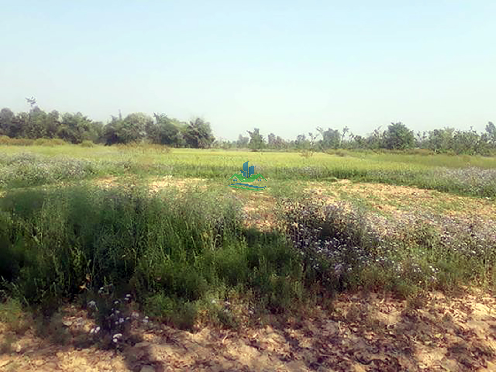 Eproperty Nepal Land for Sale at Bansgadhi, Bardiya