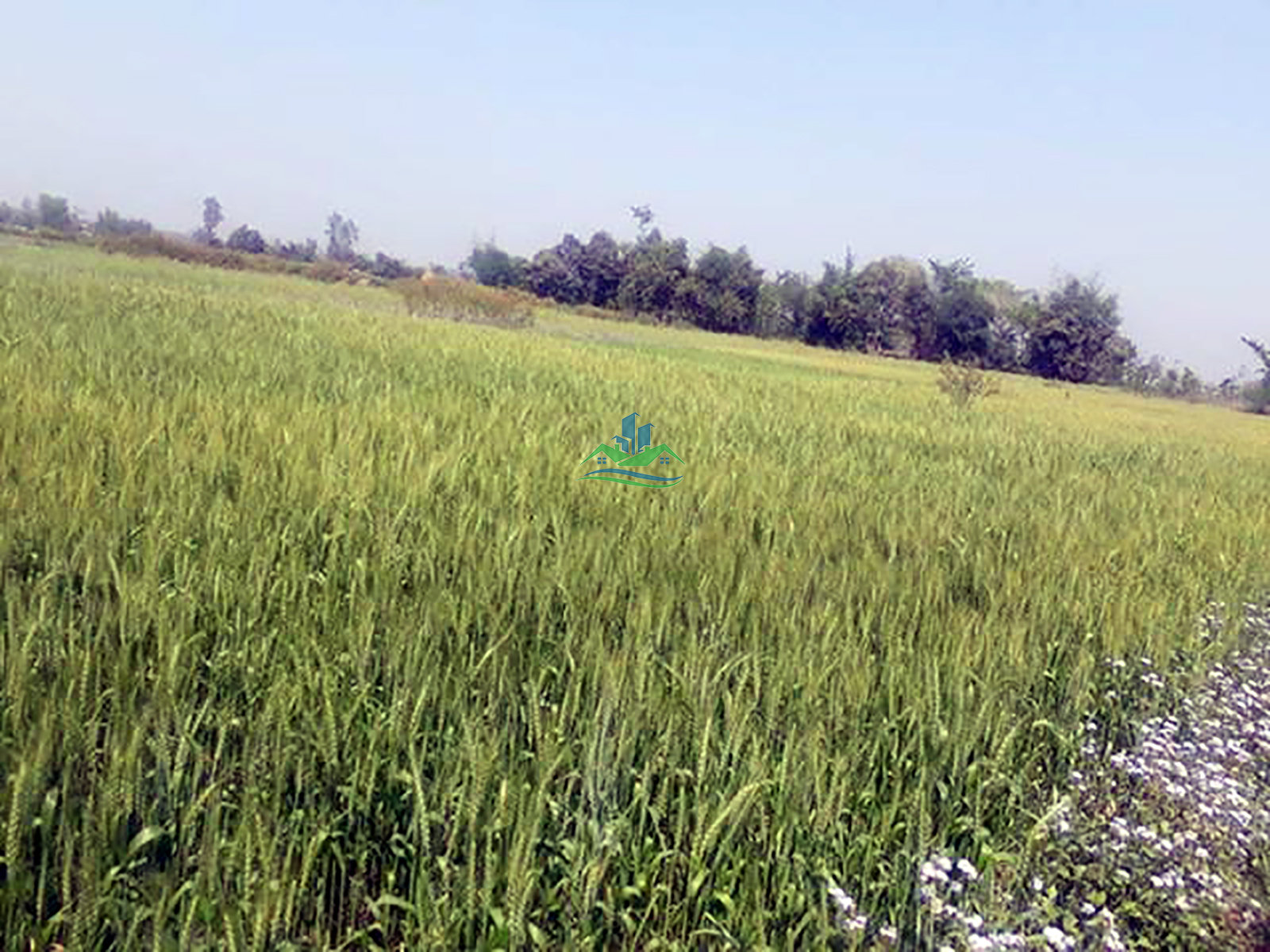 Eproperty Nepal Land for Sale at Bansgadhi, Bardiya