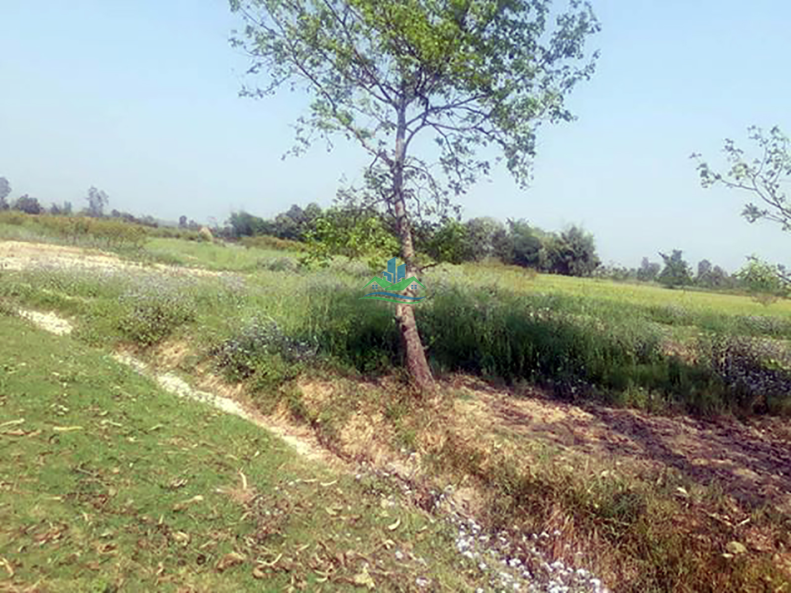 Eproperty Nepal Land for Sale at Bansgadhi, Bardiya