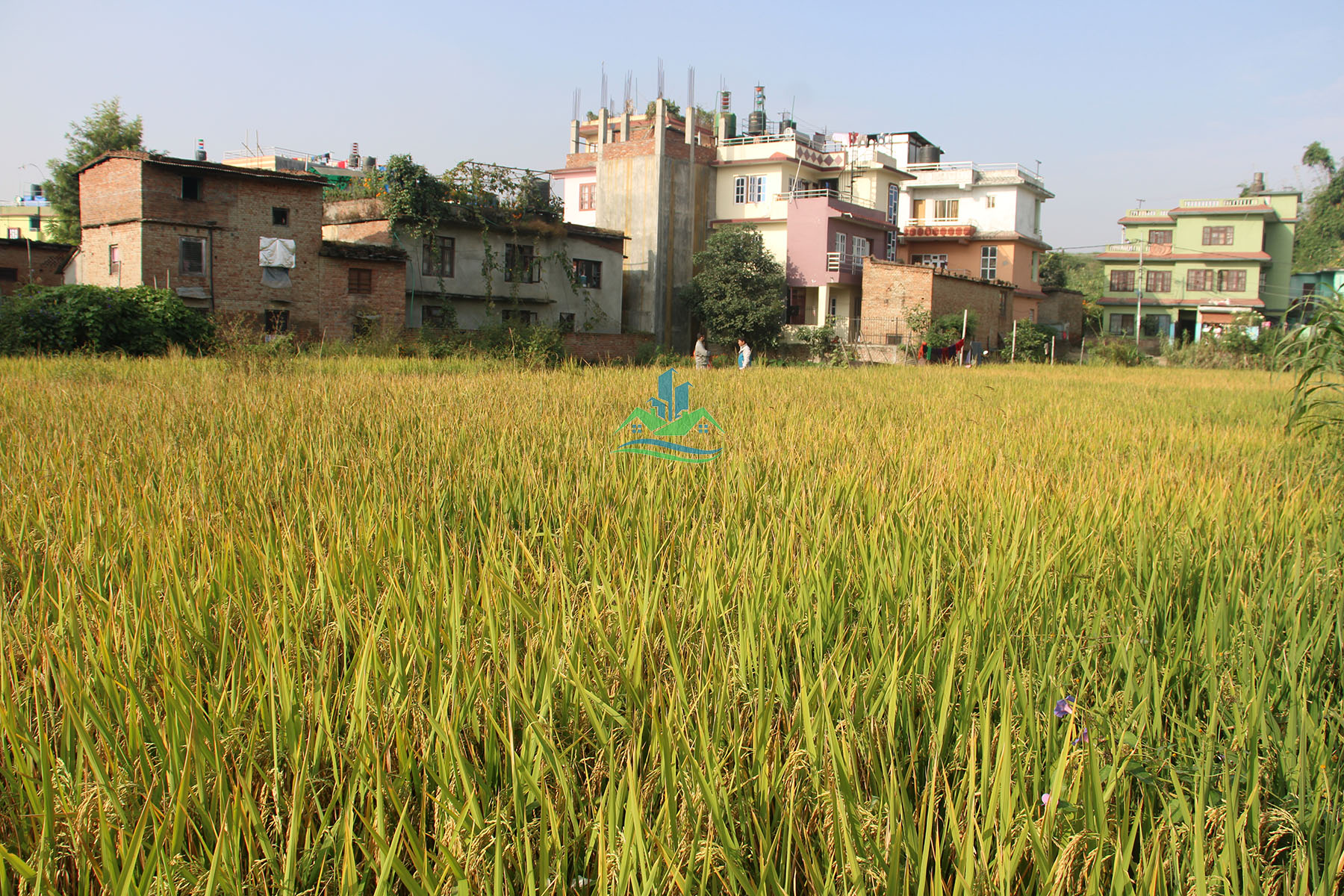 Eproperty Nepal Land for Sale at Pepsicola, Kathmandu