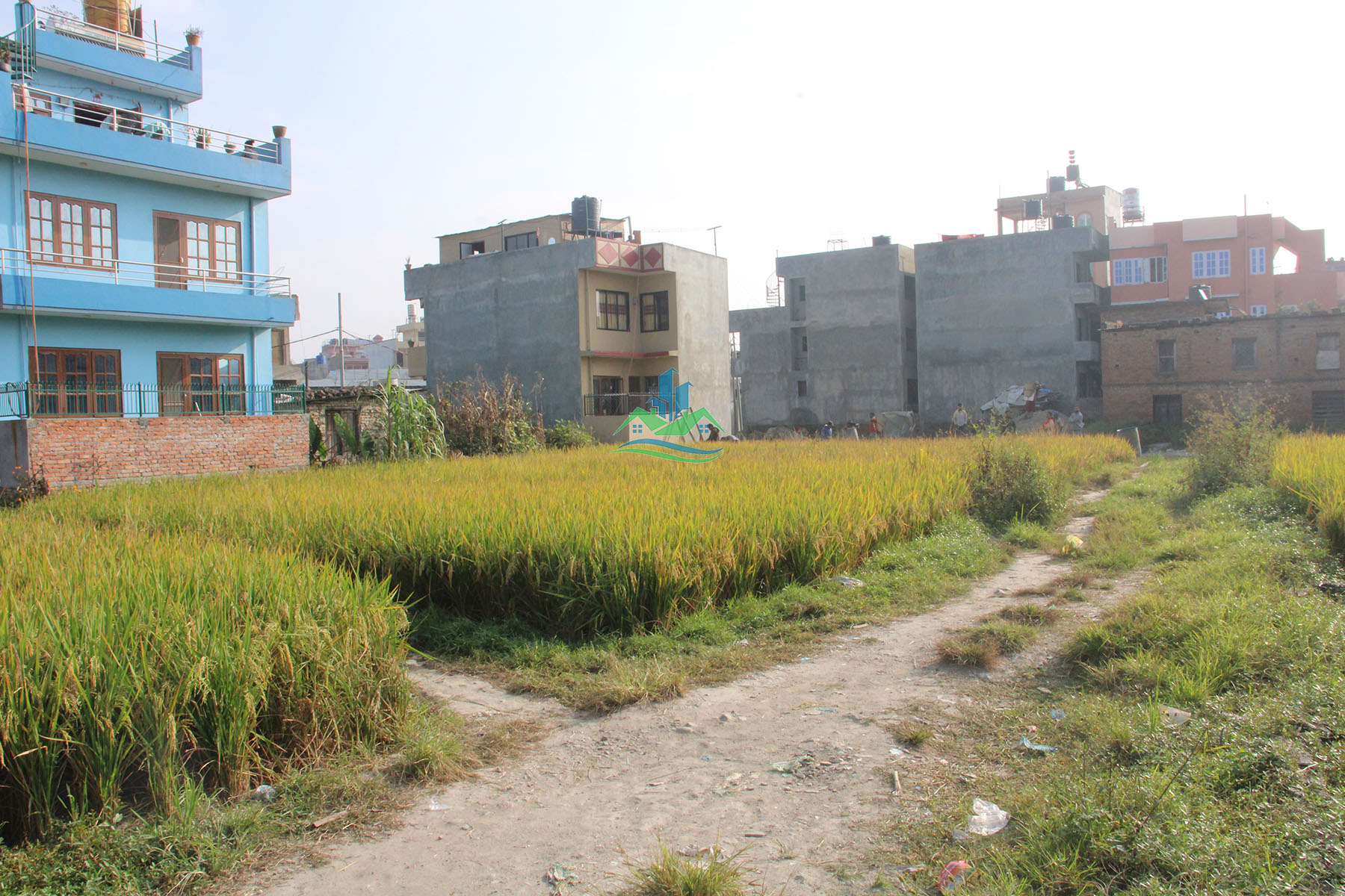 Eproperty Nepal Land for Sale at Pepsicola, Kathmandu
