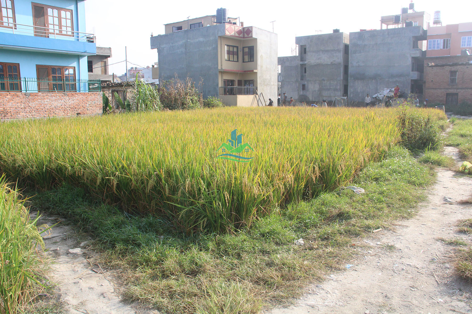 Eproperty Nepal Land for Sale at Pepsicola, Kathmandu