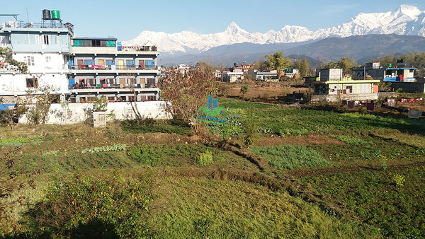 60 Aana Land for Sale at Pokhara, Kaski